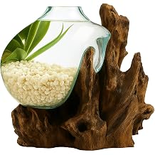OMA Hand Blown Molten Glass on Driftwood Terrarium Vase or Planter Recycled Glass & Natural Wood for Coastal & Boho Home Decor 12"14" High