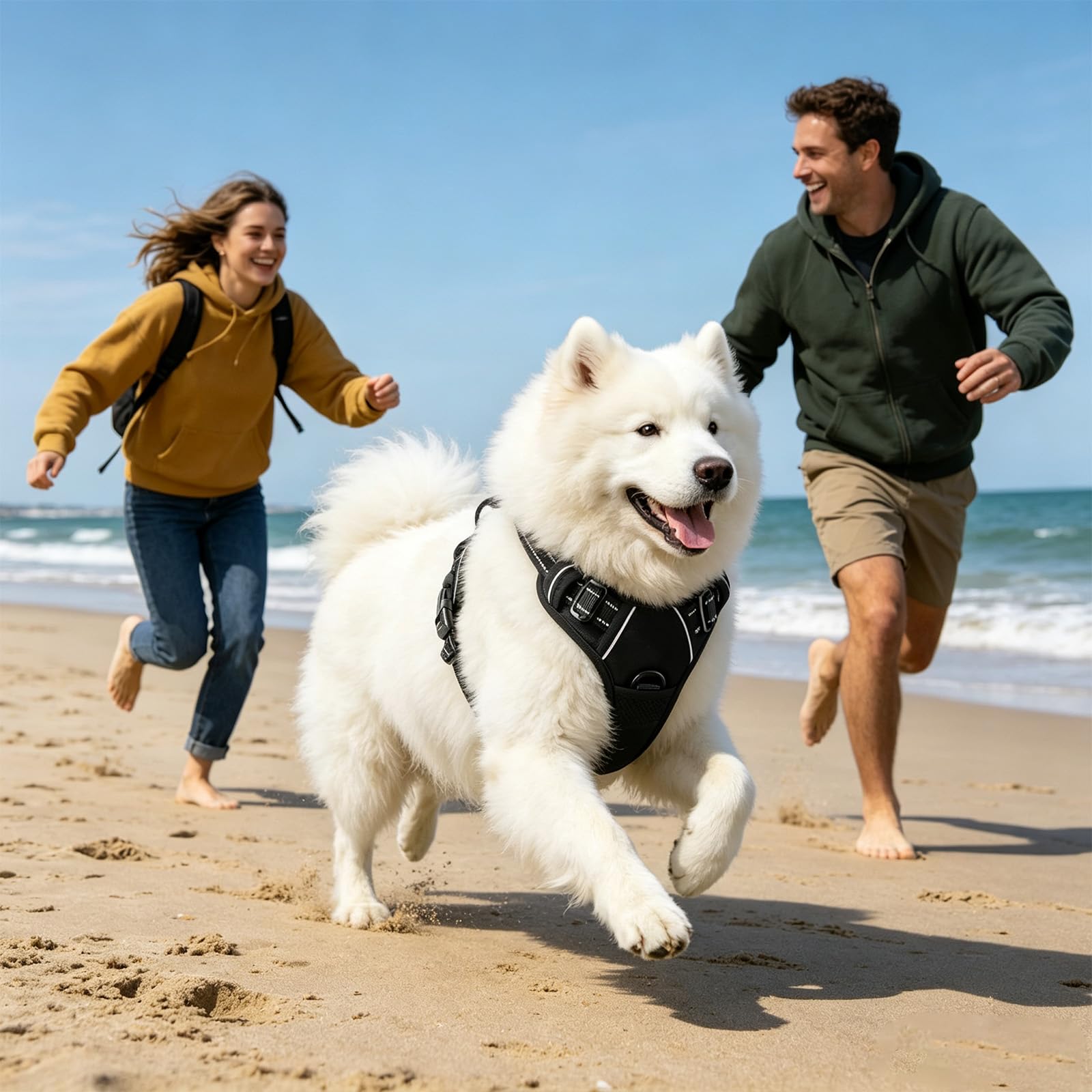 Imbracatura per cani regolabile traspirante con strisce | Riflettente sicurezza notturna