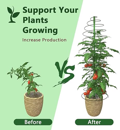 Miniatura 4 de AMAGABELI GARDEN & HOME Paquete de 2 jaulas de tomate de 42 pulgadas, soporte para plantas de jardín, macetas, jaulas, guisantes, pepino, enrejado,
