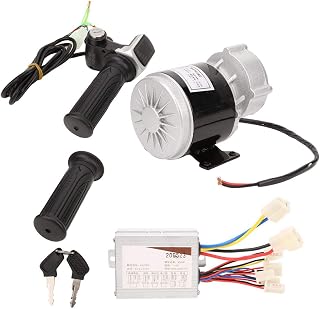 Alta confiabilidade 12.2A Professional E-Bike Brush Motor Conjunto de convers?o de bicicleta el¨¦trica E-Bike Brush Motor Conjunto de convers?o para scooters el¨¦tricos