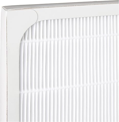 Miniatura 3 de SPT 3000FA Filtro HEPA para AC-3000AC-3000i