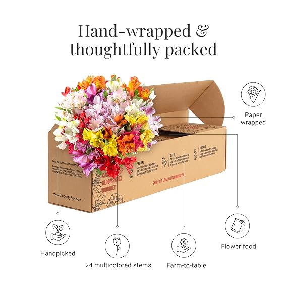 BloomsyBox. 24 Multicolored Alstroemeria Bouquet Flowers, Long Lasting & Hand-Tied, Farm Fresh Cut Flowers Bouquet - Gift for Birthday, Anniversary, Mothers Day Flowers | No Vase |