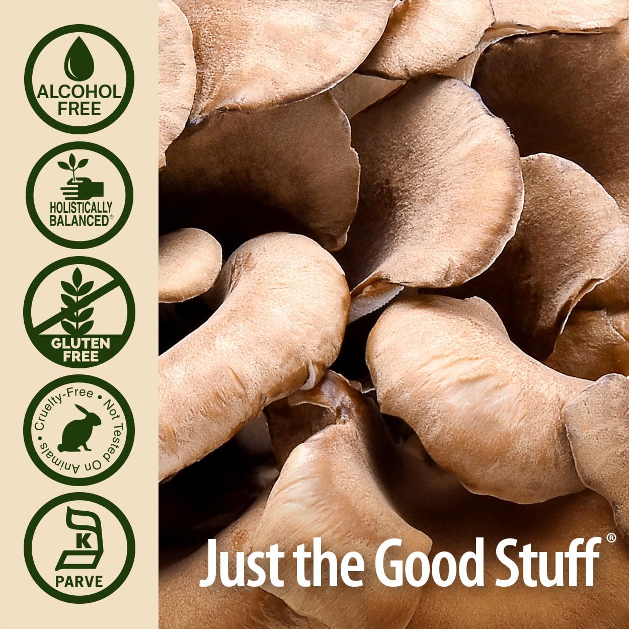 Bio Pro Maitake 2 oz. Mushroom Extract | Professional Strength Immune Support | Alcohol-Free Liquid Extract