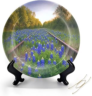 HABEN ARTWORK Decorative Ceramic Plates for Display with Stand, 8" Bluebonnets Train Rails Dinner Plate for Wall Hanging Tabletop Decor Home Housewarming Gifts