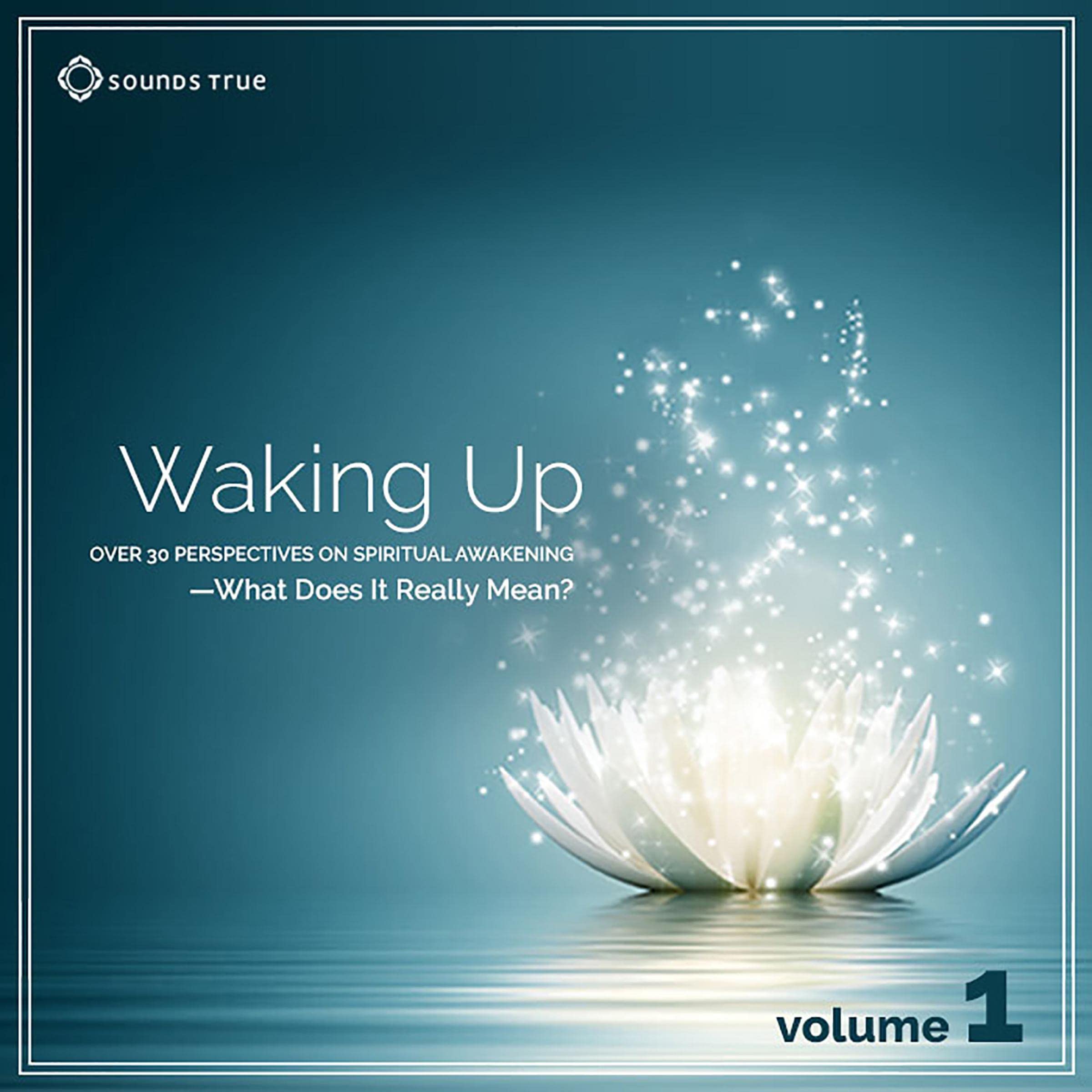 Waking Up: Volume 1
