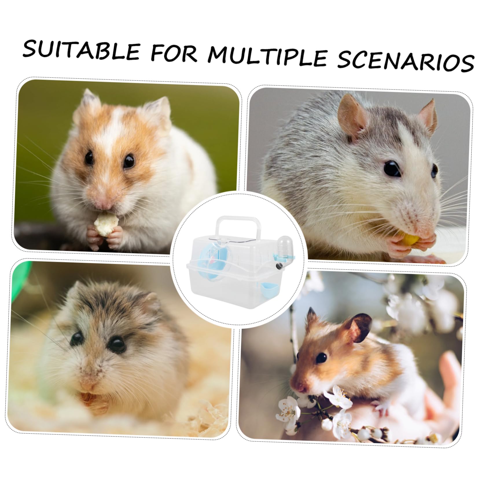 BESPORTBLE 4pezzi Trasportino Portatile Per Criceti e Piccoli Animali Gabbietta Trasparente Per Viaggi Design Multifunzionale e Spazioso Per Topi Furetti e Porcellini