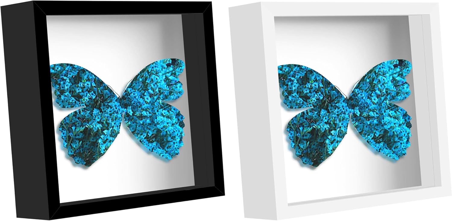 Picrit 10x10 Shadow Box Frame, Black, and White.