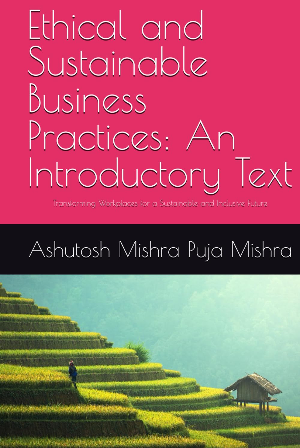 Ethical and Sustainable Business Practices: An Introductory Text: Transforming Workplaces for a Sustainable and Inclusive Future