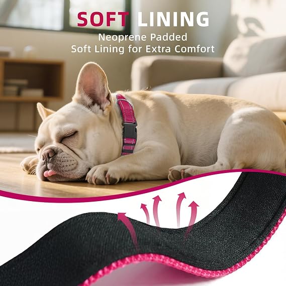 Reflective 6FT Dog Leash and 10-15.5 Dog Collar Set, Soft Padded Basic Collar and Padded Handle Leash for Small Dogs, Hotpink
