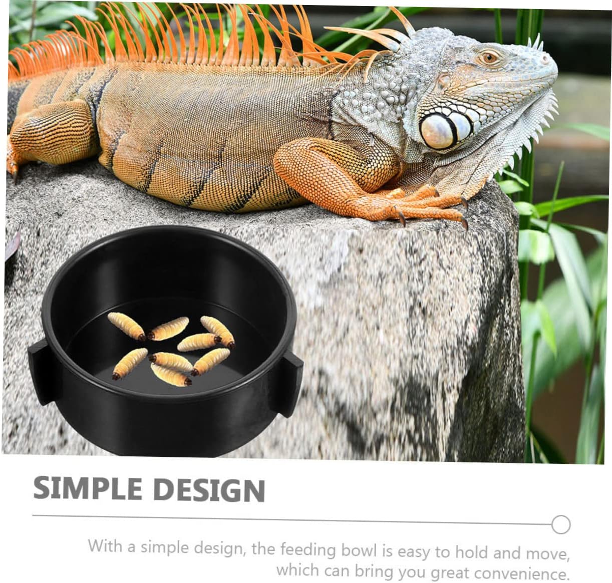 4pcs Ceramic Reptile Bowls Set Multi-Function Water and Food Dishes for Bearded Dragon Sturdy Reptile Supplies for Terrarium and Amphibians