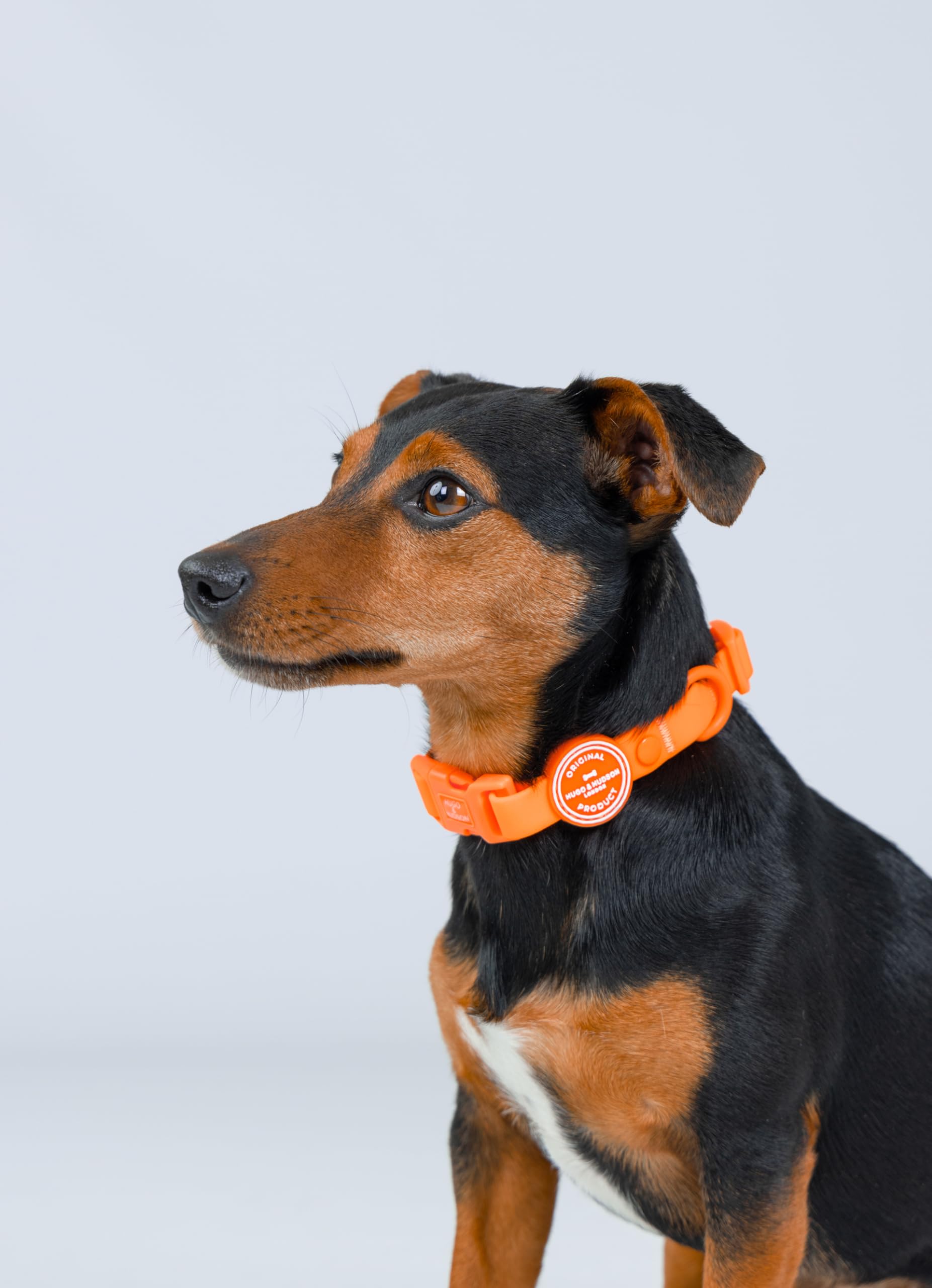 HUGO & HUDSON Waterproof Dog Collar, Anti Odor and Easy to Clean Adjustable Pet Collar, Orange, L - Image 2