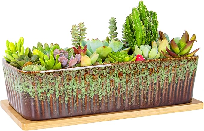 Succulent Pots - 12 Inch Large Succulent Planters with Drainage