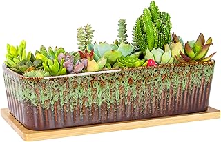 Succulent Pots - 12 Inch Large Succulent Planters with Drainage Tray, Wi...