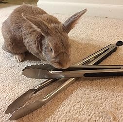 Customer Image, click to open customer review