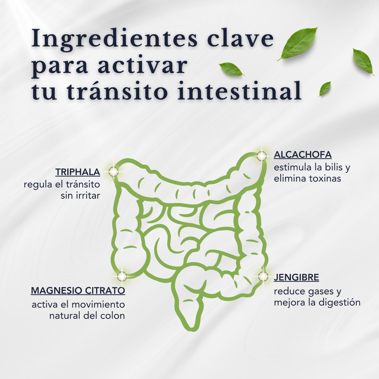 Apoyo al Tránsito Intestinal con Alcachofa, Triphala, Magnesio y Jengibre | 7 Suplementos en 2 Bolsitas Para el Estreñimiento | Detox, Digestión y Regularidad | 28 Dosis diarias