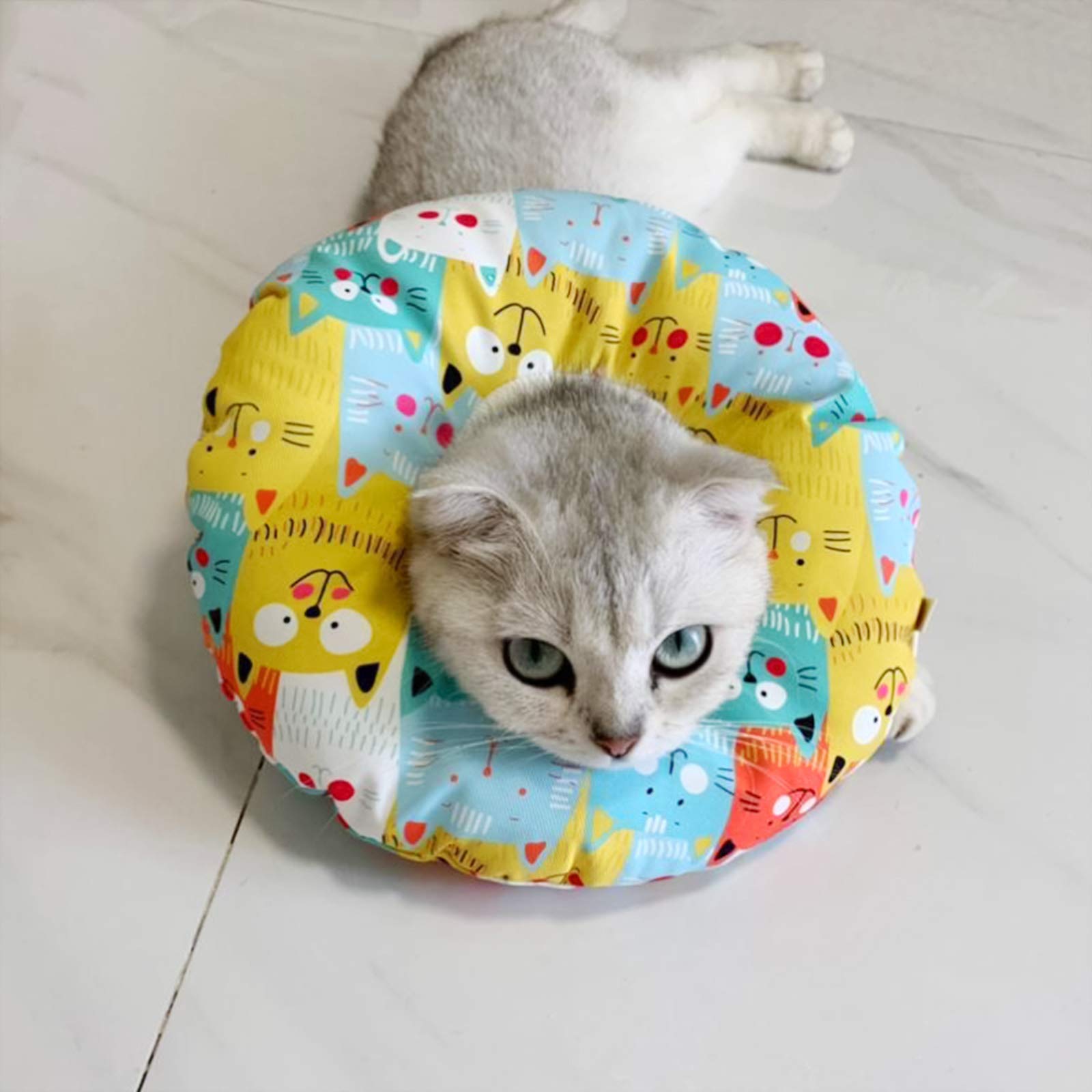 Collare Protettivo Gatto, Elisabettiano Collare Protettivo Cono, Collare Morbido Regolabile per Animali Domestici, Collare per Recupero Gatto Dopo per chirurgia per Cani e Gatti (S)