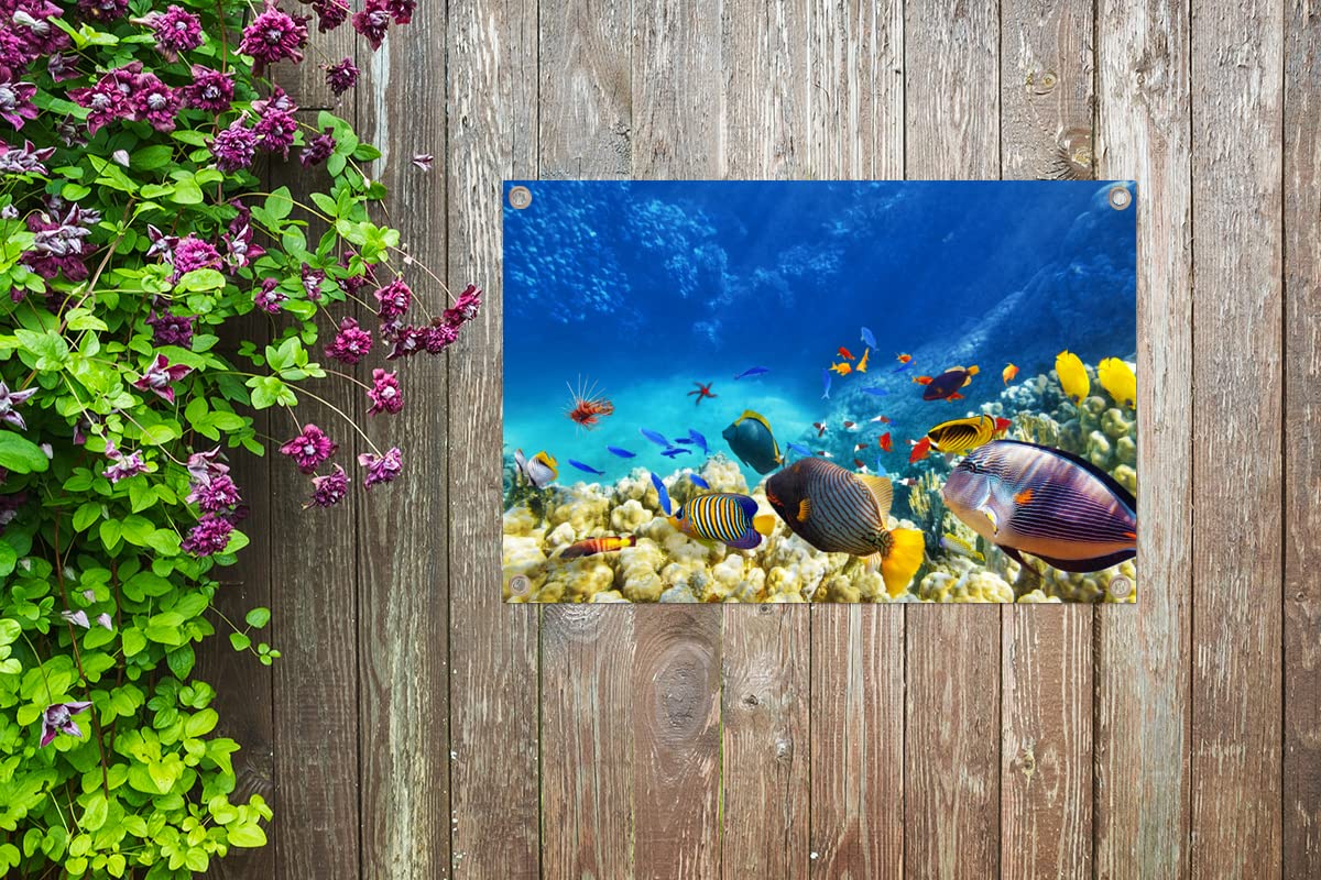 MuchoWow Gartenposter – Unterwasserwelt Mit Fischen & Korallen, 90x60 Cm