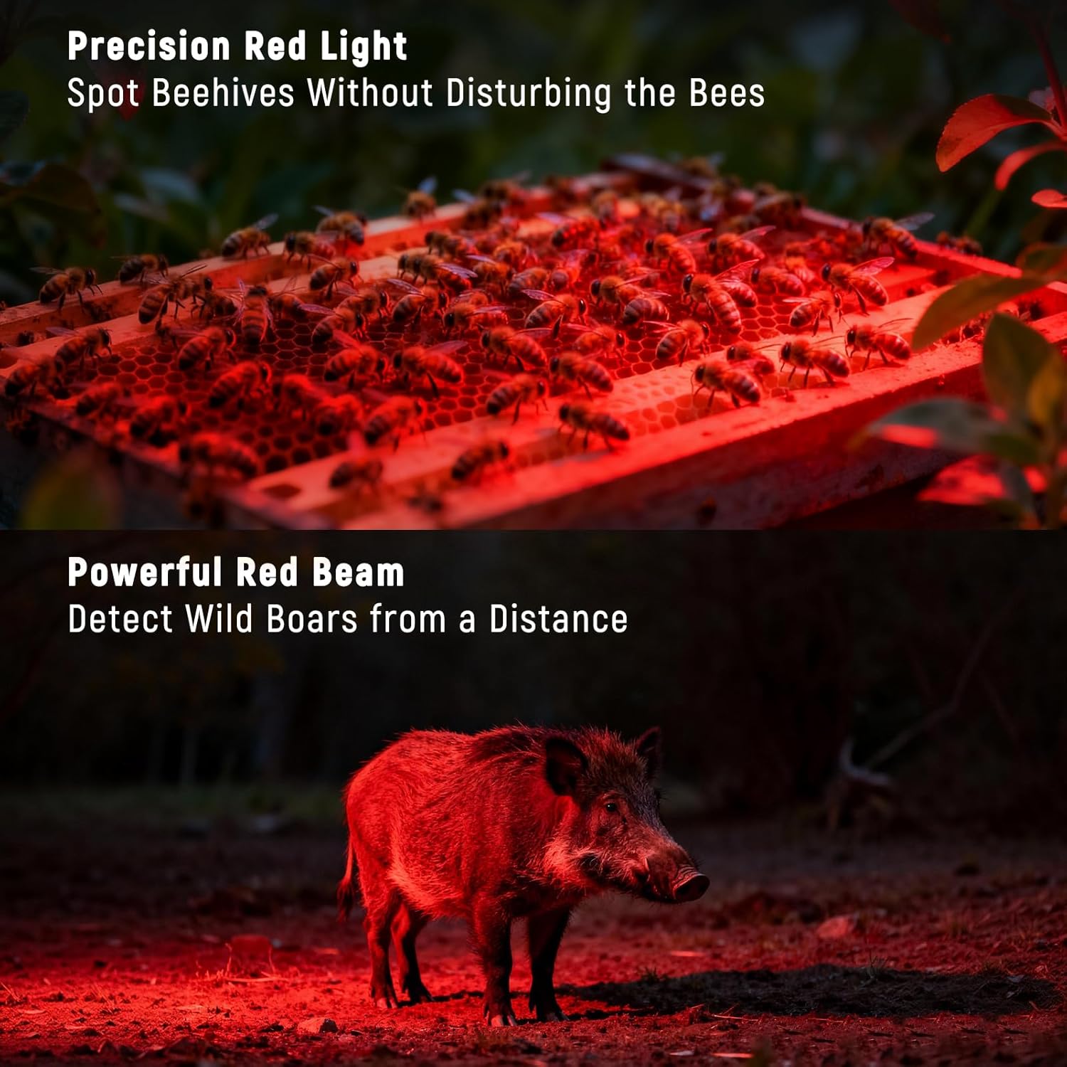Red Light Flashlight, Long-Lasting Power Zoomable Focus for Hunting, High-Intensity Beam for Coyote & Fox, Astronomy, Camping and Night Vision