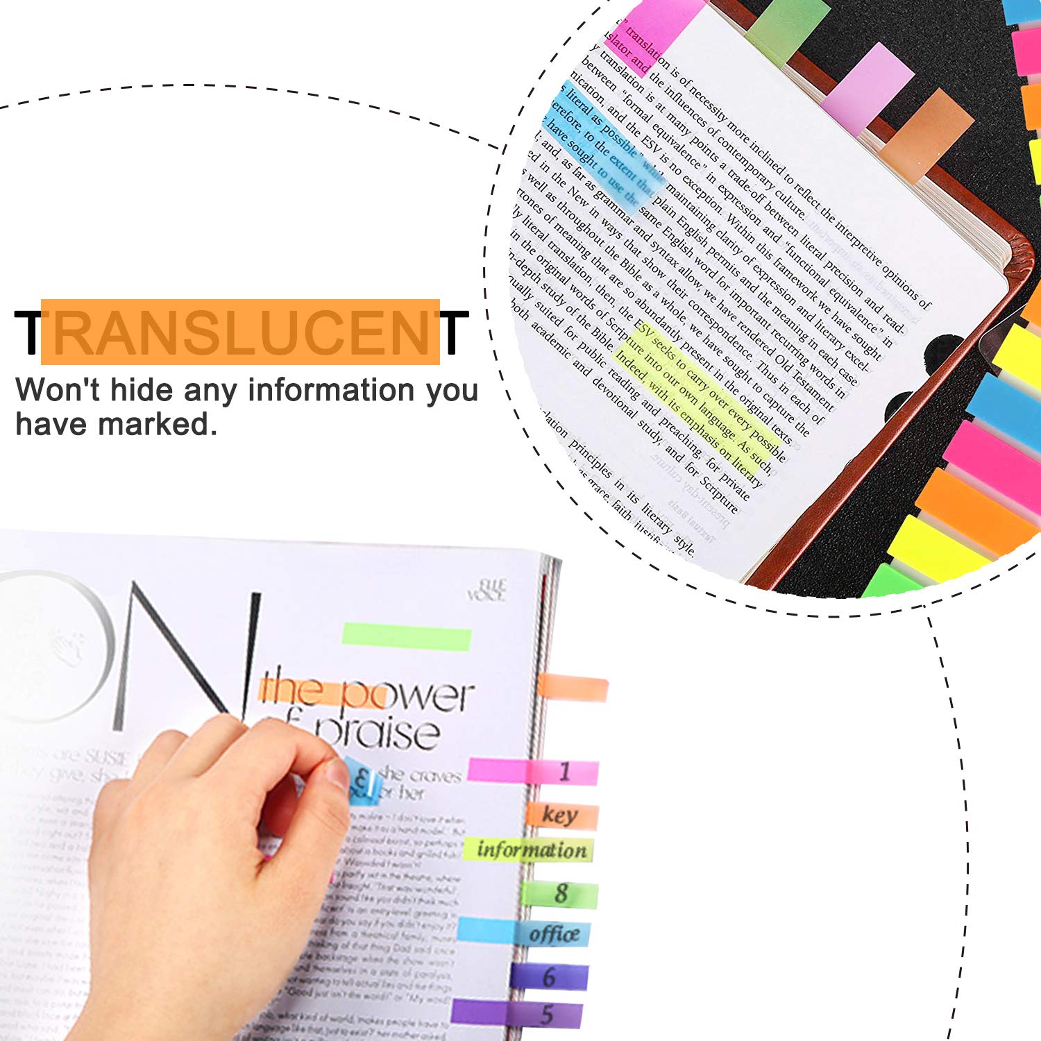 Paginamarkeringen Sticky Tabs | 5,5 x 12,7 cm PET 8 Kleuren