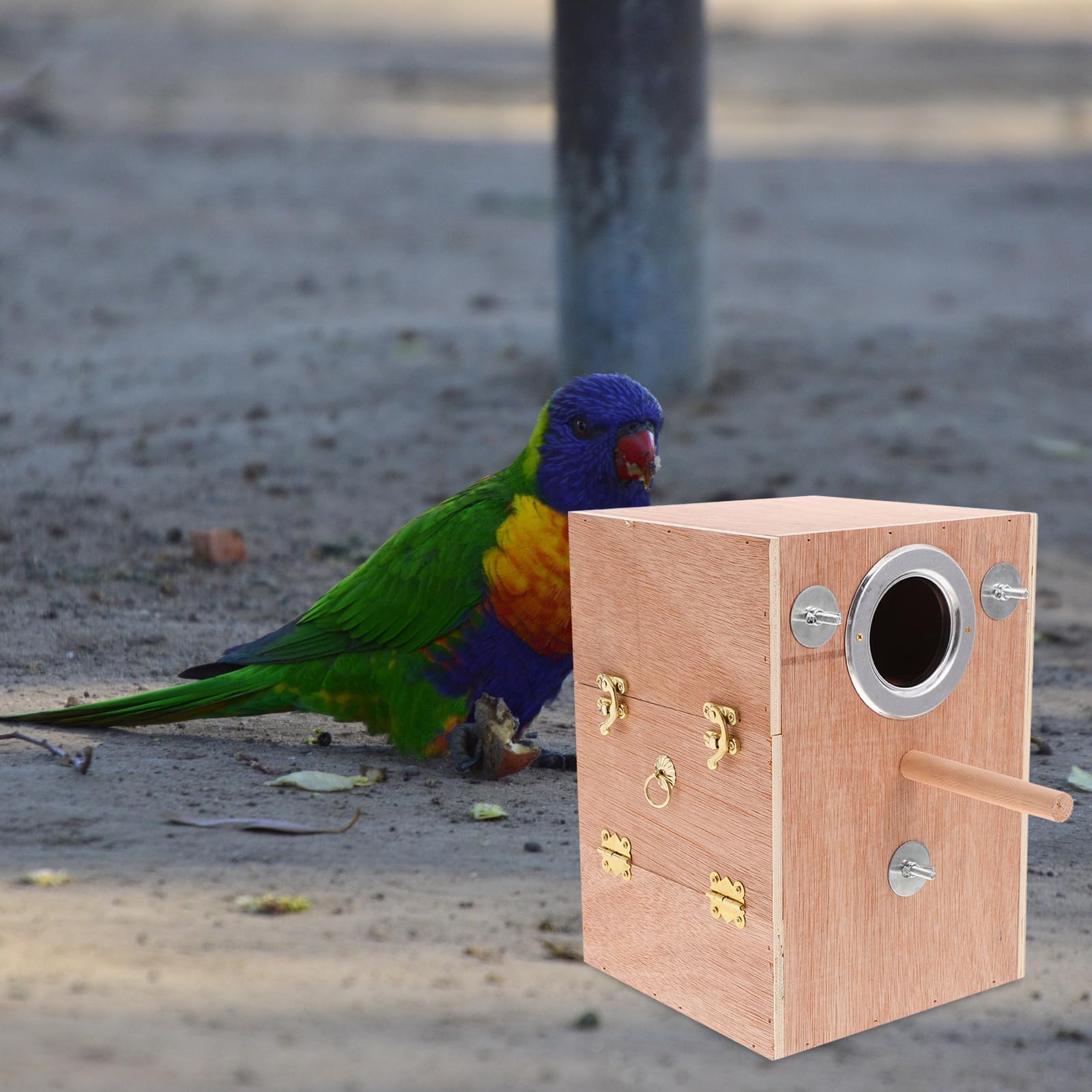 Caja de Cría para Pájaros Colgante de Madera, Refugio Seguro