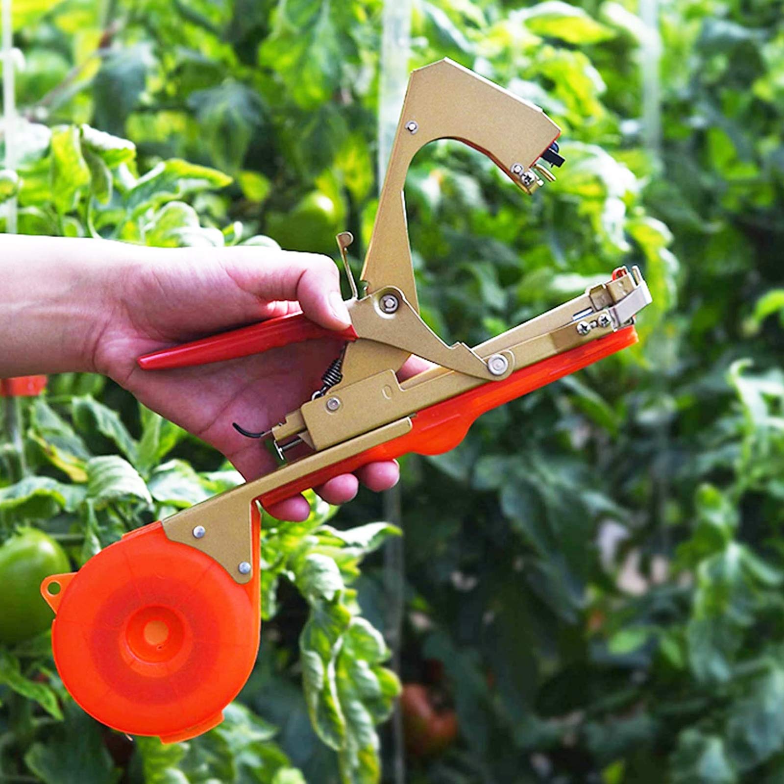 Máquina De Atar Planta, Planta Mano Atar La Máquina Jardín Tape Tool, Herramienta Para Atar Ramas De Planta, Atadora Agricola Máquina Para Atar Tomates Pepino UVA Fruta Flores Con 10 Rollos Cinta