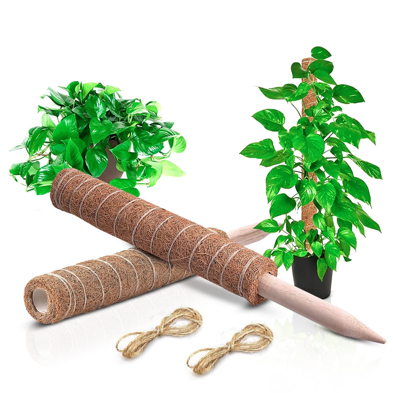 FOX & FERN Moss Stick/Coir Pole for Climbing Plants | Coco Coir Moss Poles | Plant Support Extension to Grow Upwards (Pack of 1) (Ht. 35.43Inch) (B0BNDMKK36) Amazon Price History, Amazon Price Tracker