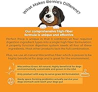 Vista 7 de Suplemento Perfecto para Popó, Digestión y Salud General para Perros: Fibra, Prebióticos, Probióticos y Enzimas Alivian las Condiciones Digestivas