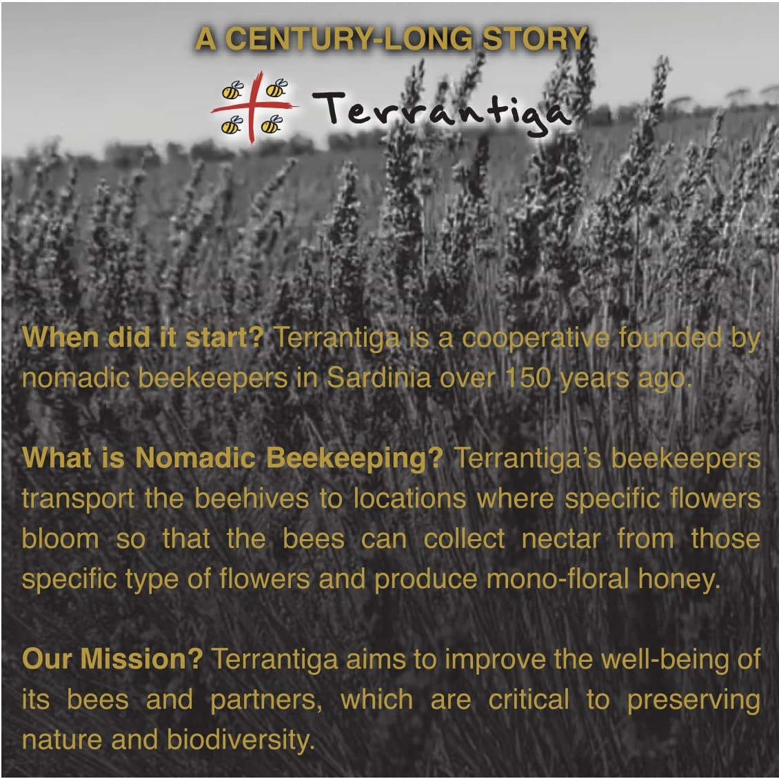 WellEatable Eucalyptus Organic Raw Honey from Eucalyptus Flowers, Artisanal Complex Balsamic Honey from Sardinia, Italy - 4 x (250gr) 8.81 Ounce (Pack of 4)