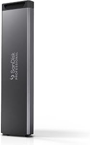 SanDisk Professional 1To PRO-Blade SSD Mag - SSD Mag NVMe portable et modulaire, ultra-durable - SDPM1NS-001T-GBAND, gris foncé