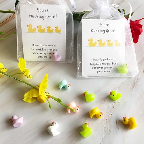 Miniatura 4 de 30 Sets Inspirational Gift Include You're Ducking Great Cards Thank You Gifts Funny Cards Mini Resin Ducks Organza Bags Bulk for Students Coworkers