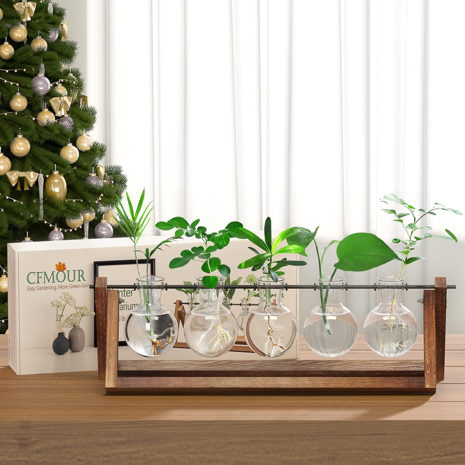 CFMOUR Plant Terrarium with Wooden Stand, Desktop Propagation Stations Glass Air Planter Metal Swivel Holder for Indoor Live Hydroponics Plants Office Home Garden Decor (5 Bulb Vase) : Patio, Lawn & Garden
