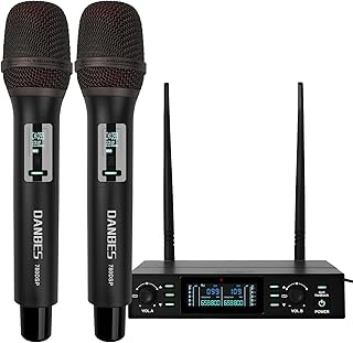 DANBES Wireless Microphone/Transmission Distance 80 Meters/with ECH0 and Anti-Feedback Function / 2 Microphones and a Dual-Channel Receiver/for Karaoke, Meetings / 780DSP / Black
