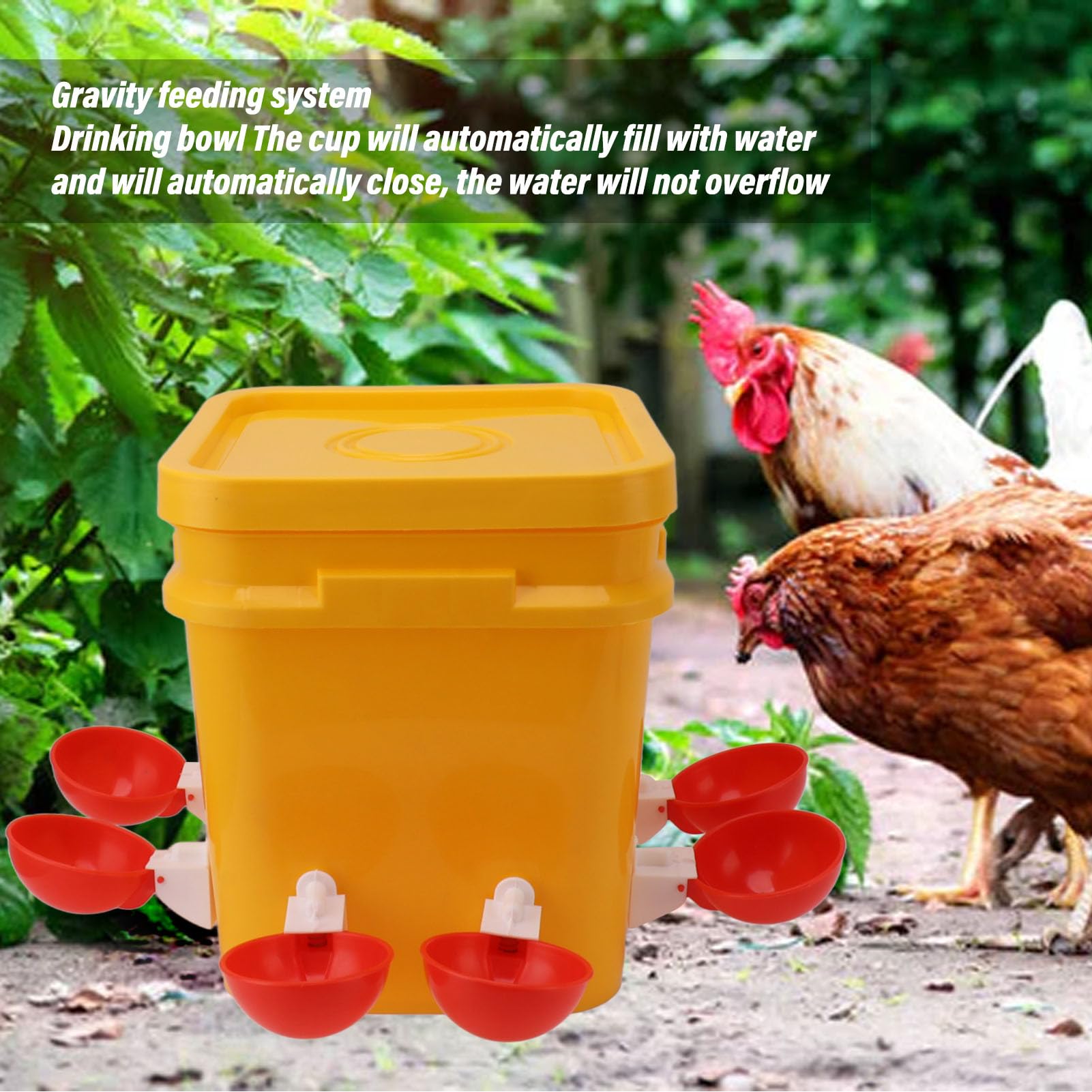Bebedero Automático para Pollos, Alimentador y Bebedero para Pollos de Barril de 12L, Suministros para Gallinas Pequeñas, Bebedero para Aves de Corral (Cubo + Tazón Rojo Grande +