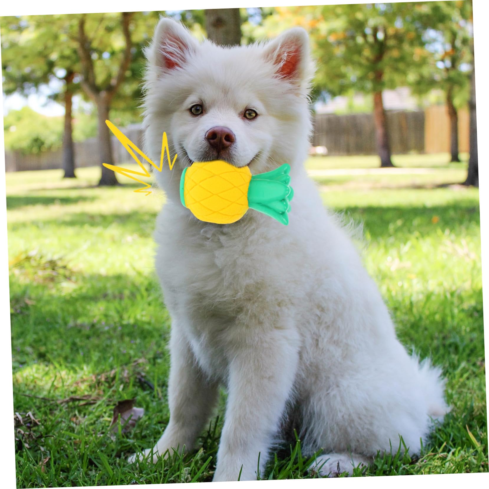 Sosoport 8pièces Jouets à Mâcher pour Chiens Jouets Sonores Molaire Accessoires pour Chiens De Petite Et Moyenne Pineapple Dragon Fruit