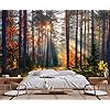 Autumn sunshine in the woods wallpaper natural landscape mural modern living room bedroom backdrop wall muralnon self adhesive  urban country home decor