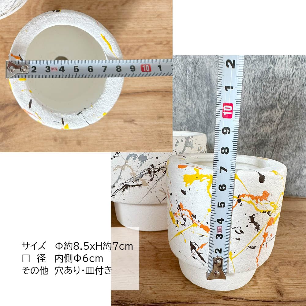Amazon.co.jp: 観葉植物 鉢 おしゃれ 陶器鉢 3号 デザイン陶器