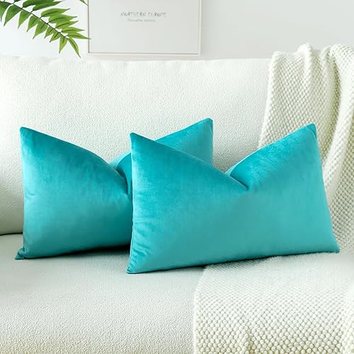 OTOSTAR Paquete de 2 fundas de almohada decorativas de terciopelo suave y sólido de 16 x 24 pulgadas, fundas de almohada lumbares, fundas de