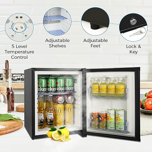 Miniatura 6 de HIPOPLLER Refrigerador compacto de 1.07 pies cúbicos, mini refrigerador silencioso, puerta reversible de 110 V con cerradura, enfriador de bebidas