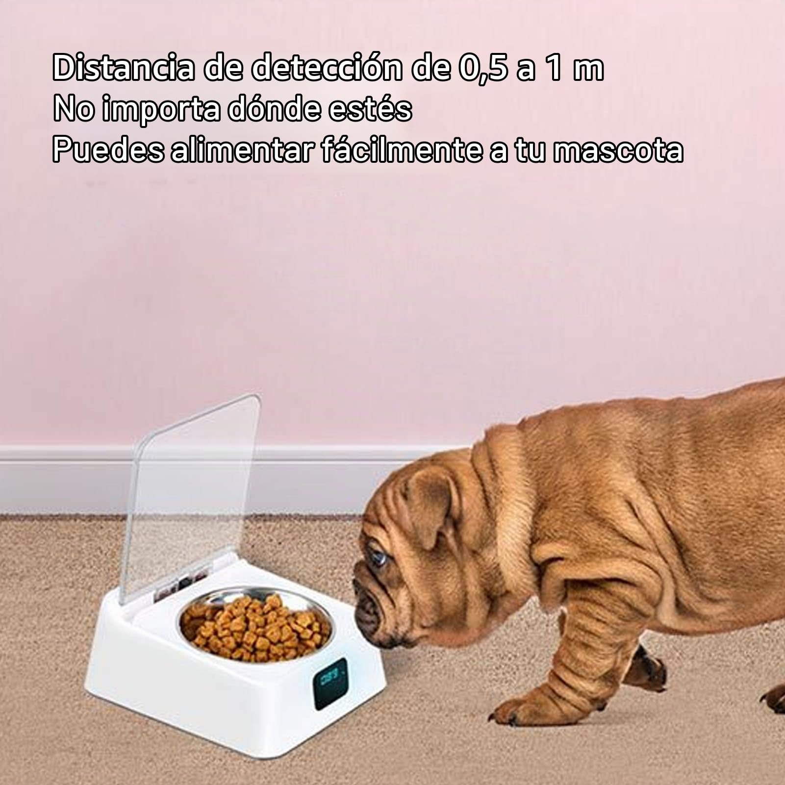 Cuenco de Alimentación Inteligente Automático para Gatos, Comedero Sensible para Mascotas, Tapa Que Evita Resbalones, Inducción IR para Mascotas Pequeñas, Comedero para Gatos