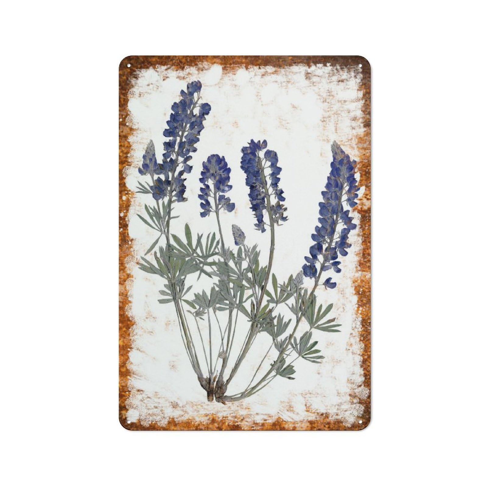 Peiyeety A005 Metal Tin Sign Retro Distressed Vintage Rustic Metal Lupine Flower Sketch Wall Art Decor For Home Kitchen Bedroom Bathroom Farmhouse Living Room 6X8 Inch