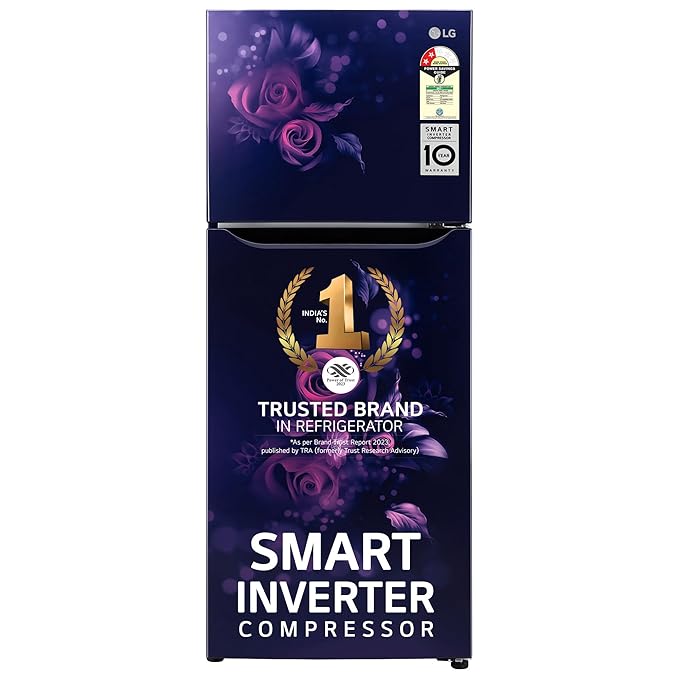 LG 242 L 2 Star Smart Inverter Frost-Free Double Door Refrigerator Appliance (2023 Model, GL-N292BBEY, Blue Euphoria, Smart Connect)