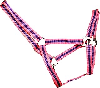 Hy Duo Head Collar Full Size Pink/Purple