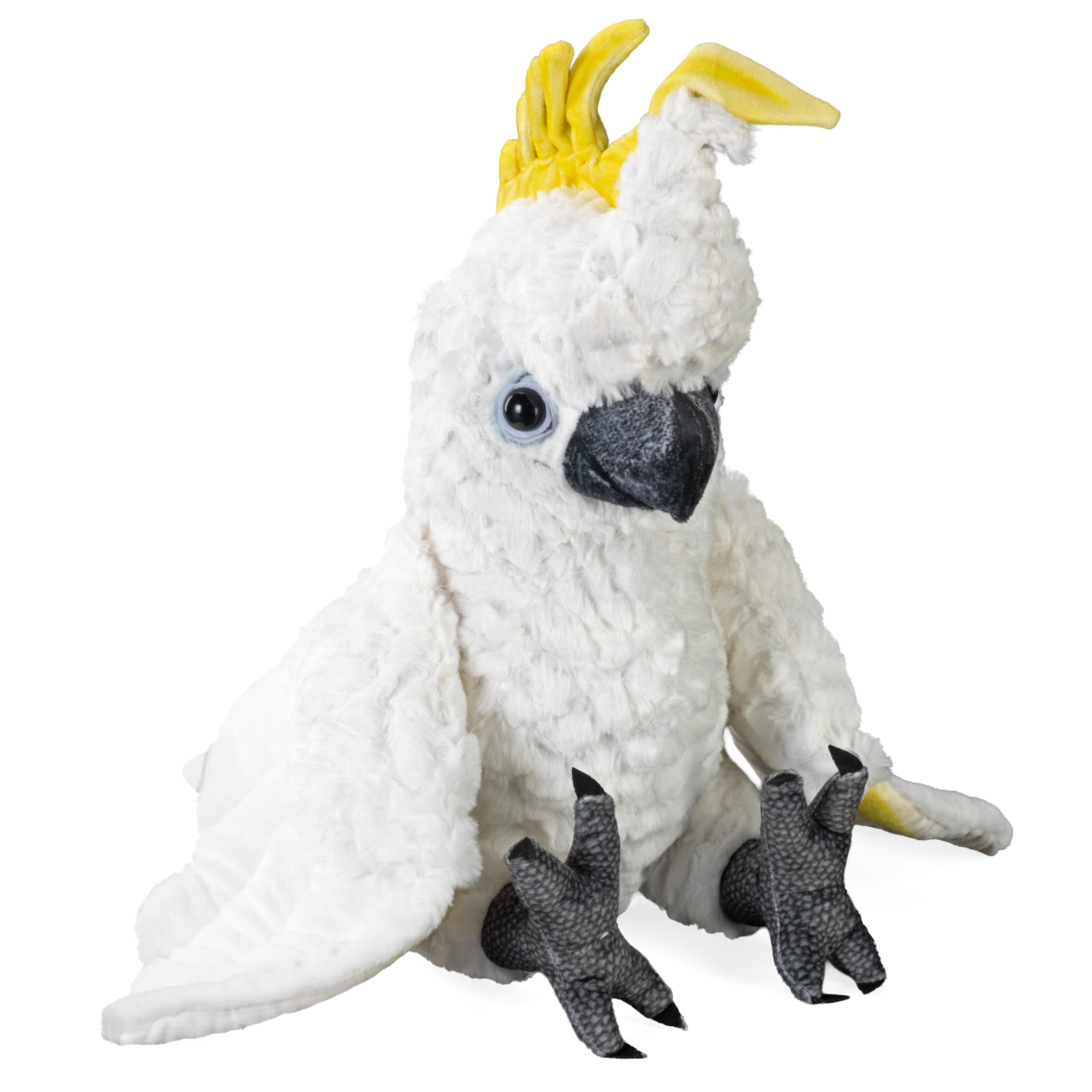 Amazon.com: Wild Republic Artist Collection, Sulfur Crested