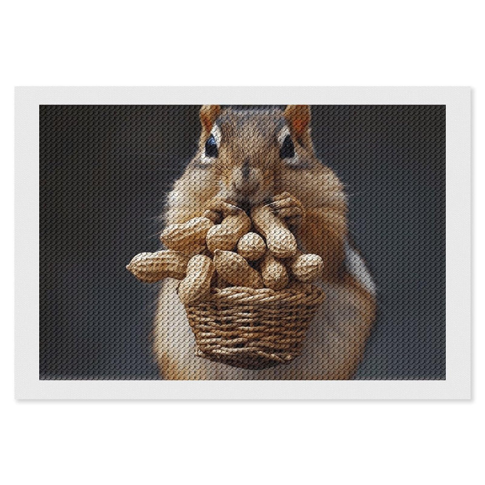 Squirrel Diamond Painting Kits for Adults, DIY 5D Diamond Painting Kits for Beginners, Round Full Drill Diamond Dots Paintings, Diamonds Pictures Gem Art for Crafts Home Decor 8"x12"