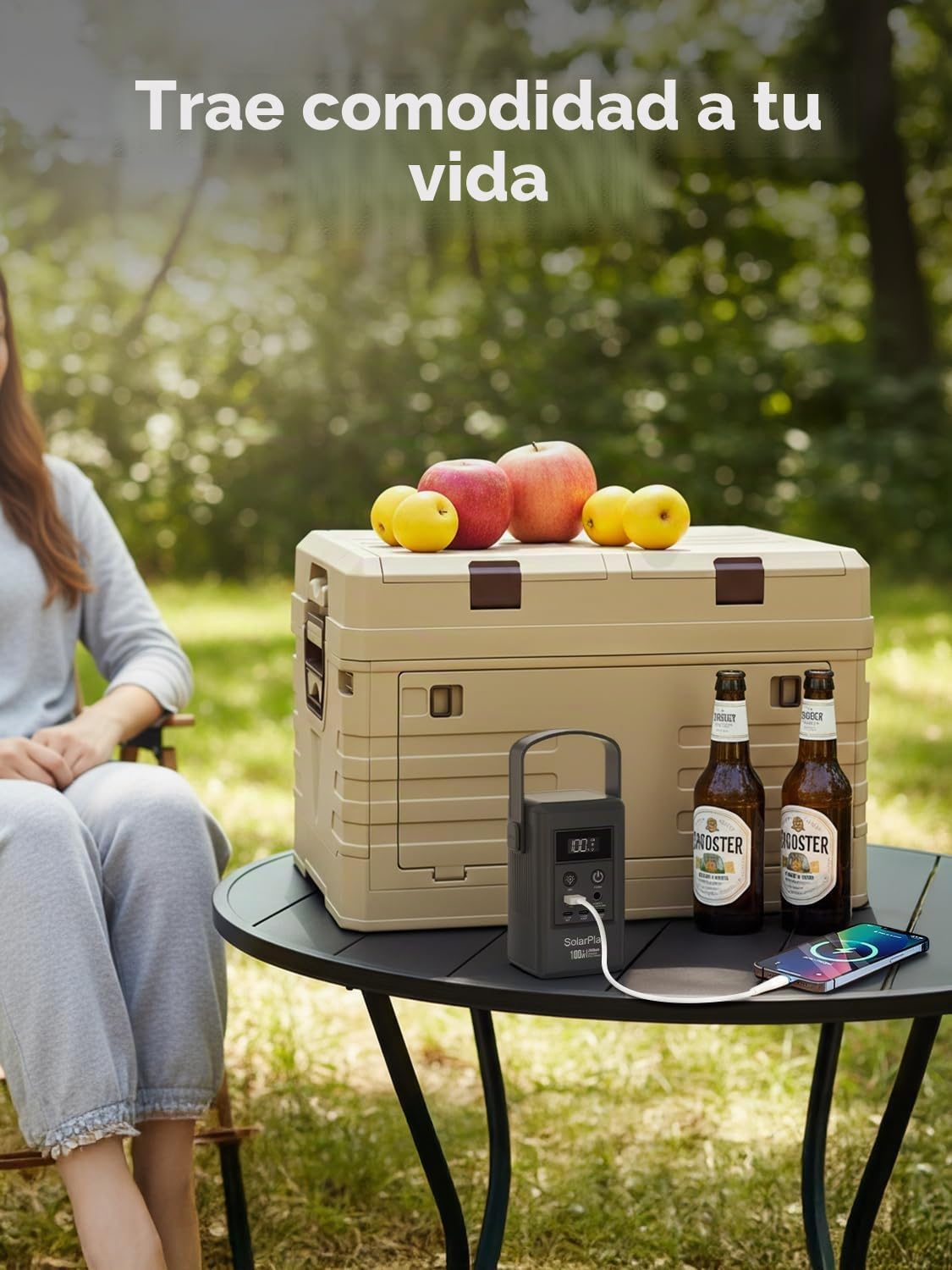 solarplay Caja de almacenamiento plegable de 60L con tapa, caja plegable extra grande con marco reforzado, que ahorra espacio al plegarse para coche, camping, hogar y jardín (57.5 x 22 x 40.5 cm)