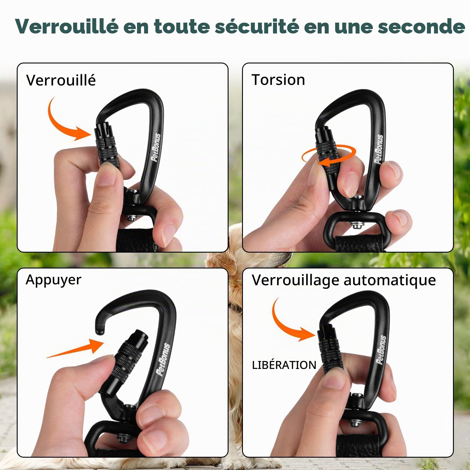 PetBonus Laisse pour Chien, 1.5m Longe pour Chien Robuste avec Mousqueton | Poignée rembourrée confortable, Réfléchissante, Nylon, Promenade, laisse d'entraînement, Adaptée Races Moyennes et Grandes