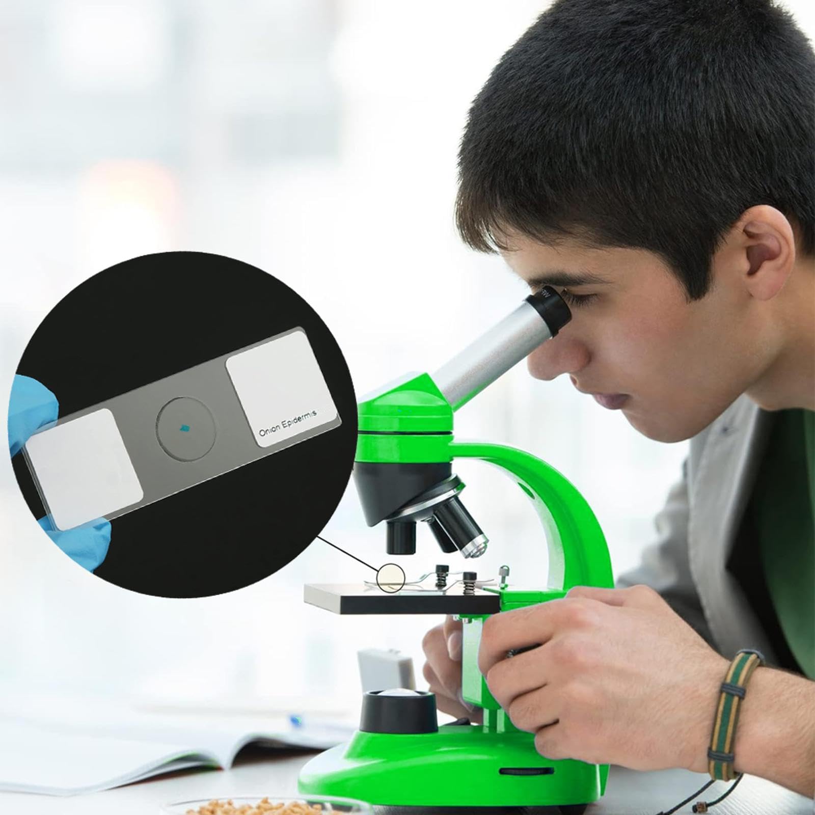 25pcs Microscopio Porta Oggetti Microscopio, vetrini in Vetro per mitosi vegetale, Microscopio Accessori per Laboratorio Scientifico Biologico