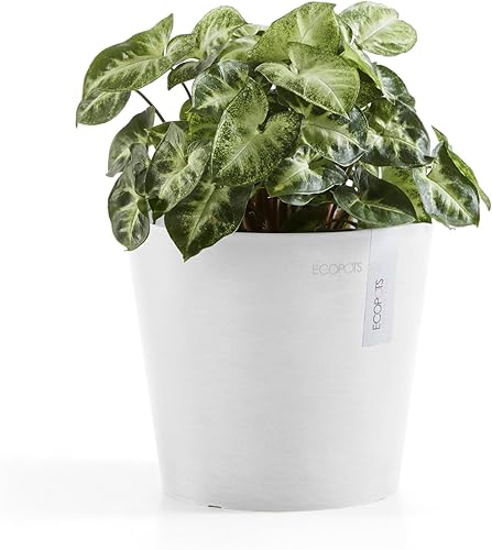 Miniatura 3 de Ecopots Amsterdam - Maceta redonda de plástico reciclado duradera para interiores y exteriores color blanco puro 7 pulgadas