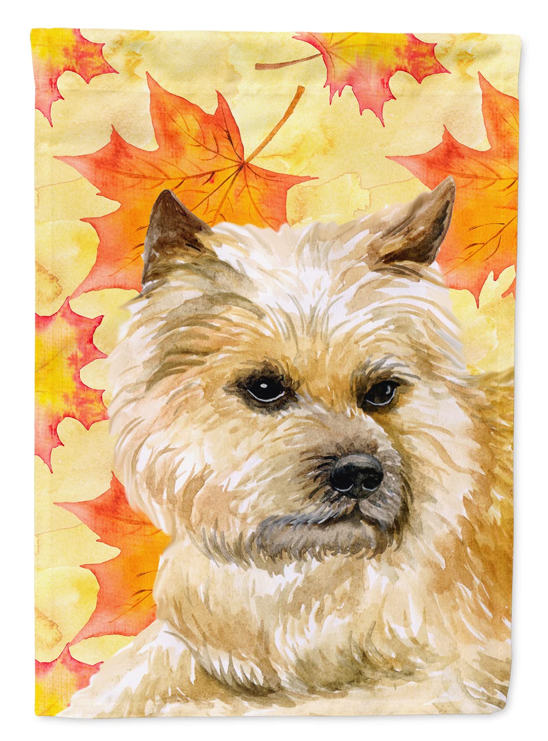 Drapeau d'automne Cairn Terrier grand format en toile pour maison