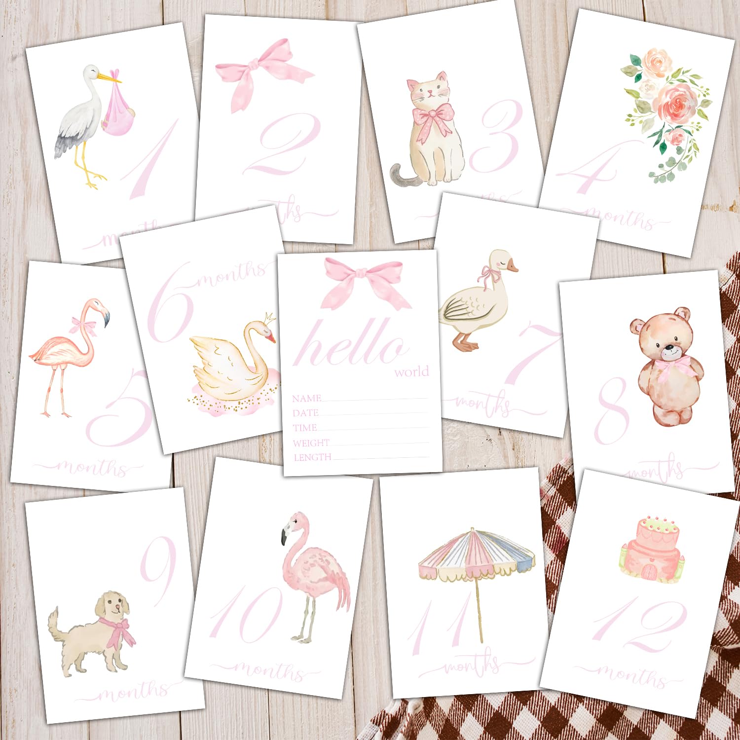 Monatliche Meilensteinschilder, Aquarell-Baby-Meilensteinkarten, monatliche Fotos, Bilder, Neugeborenen-Fotografie-Requisite, 13 Stück, Schwangerschaftsreise, Geburtsgeschenk, Geburt